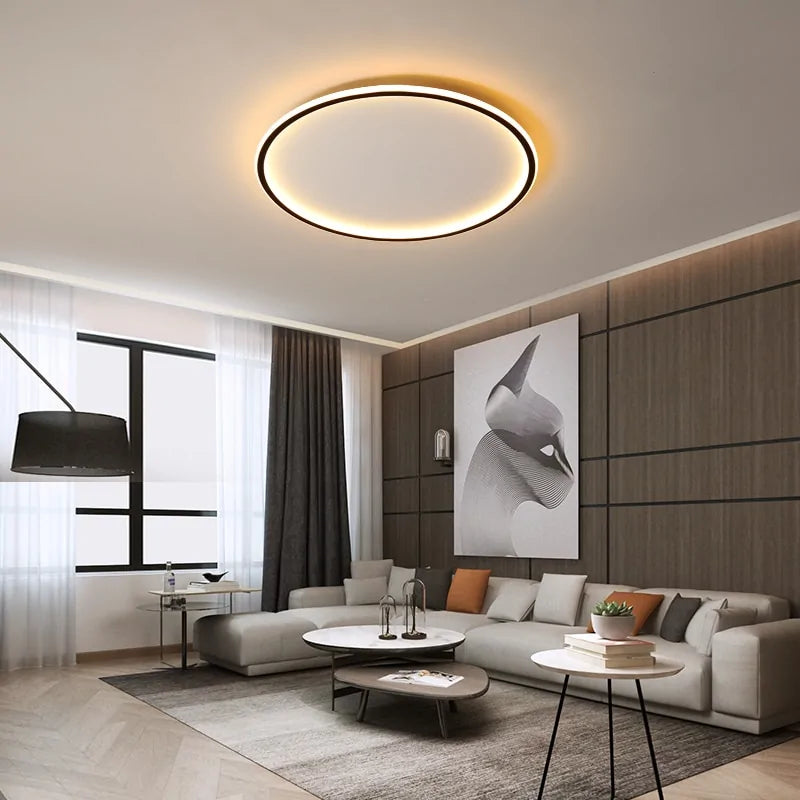 Modern LED Chandelier Lights